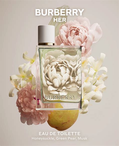 burberry established 1856 parfum|Burberry her eau toilette 2022.